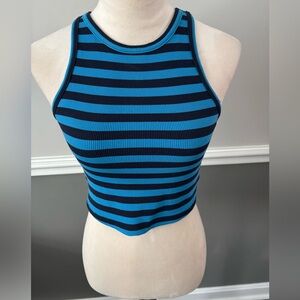 Aerie Blue and Black Striped Tank Top
